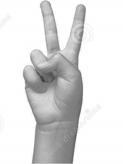 Hand Gesture Image